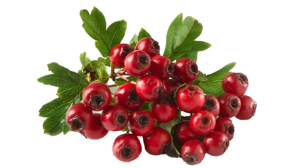Hawthorn aadressil Tonerin